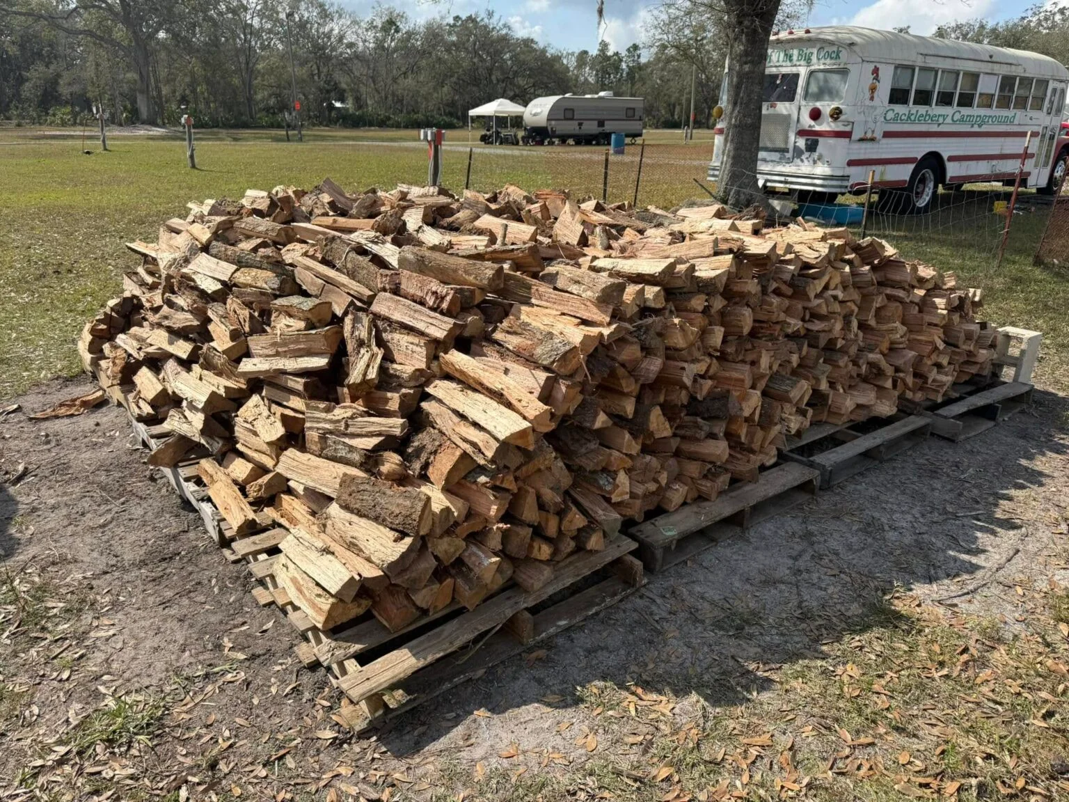 Large pile of seasoned hardwood logs stacked for a full cord order